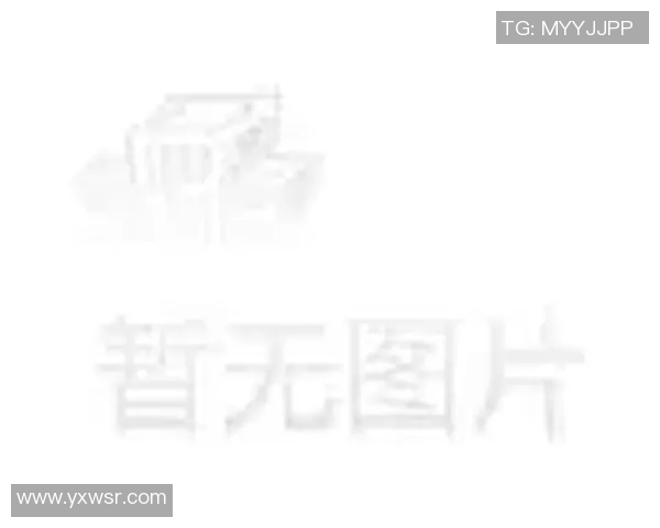 探索足球明星队员的定义与特征以及他们在赛场上的重要性与影响力