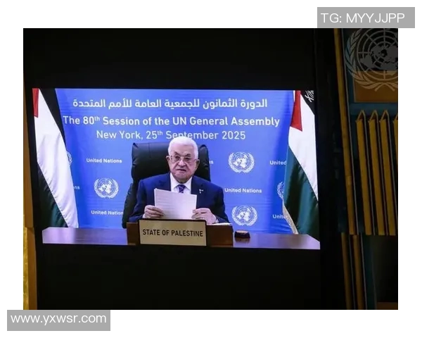 巴勒斯坦与西班牙联合的历史交汇与未来展望分析